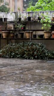 This song touch will your heart — Lauta by Ps. Andrew David Fernandes.
If you haven’t heard it yet, song link in bio ❤️

[Lauta, Song, Worship, YouTube, Tent Productions, Andrew David Fernandes]