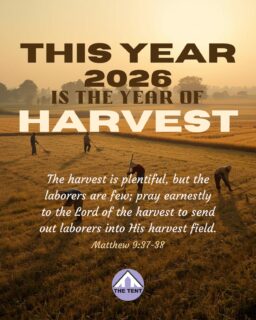 We declare it in faith — the season has shifted. 🌾
The harvest is ready, and 2026 is the Year of Harvest.
#harvest #2026 #propheticdeclaration #newyear