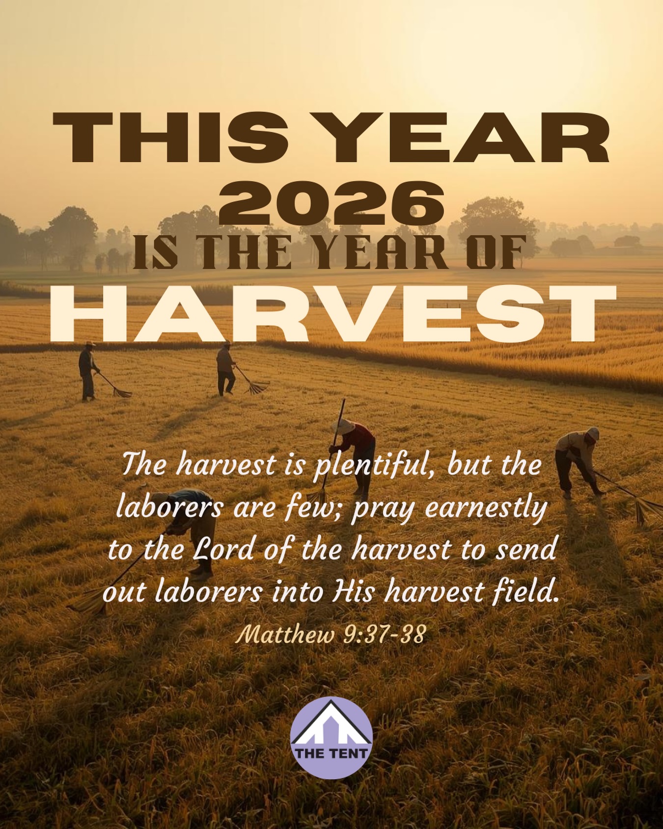 We declare it in faith — the season has shifted. 🌾
The harvest is ready, and 2026 is the Year of Harvest.
#harvest #2026 #propheticdeclaration #newyear